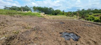 Dijual Tanah di Ubud View los tebing/jungle dan sawah