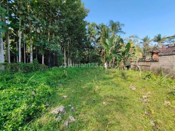 Jual Tanah Dekat Sekolah Internasional Empaty School Ubud