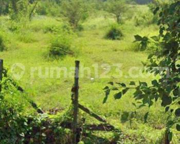 Tanah industri raya jetis mojokerto murah strategis
