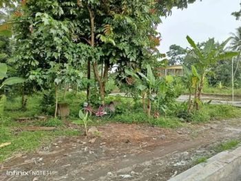DIJUAL TANAH MURAH DI NGANGKRIK SLEMAN