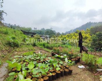 Tanah Kebun Murah Dekat Cafe Concrete Ada Sumber Air di Batu