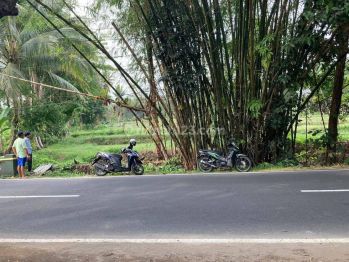 Utara Kampus Uii Kaliurang, Tanah Degolan Kawasan Kuliner Jogja