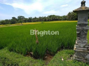 TANAH COCOK UNTUK INVESTASI DI KERAMBITAN DEKAT KOTA TABANAN