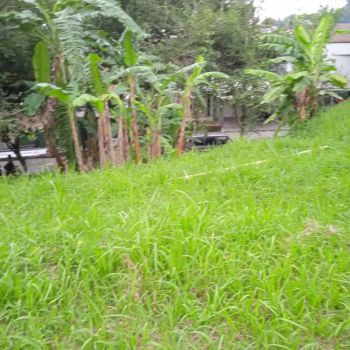 Dijual Tanah Kavling Resort Dago Pakar