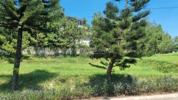 Tanah Kavling Cipaku Setiabudi Premium Unit 435m² HGB