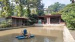 thumbnail-harga-tanah-aja-dah-bonus-sama-villa-nya-dan-kolam-ikan-n-taman-8