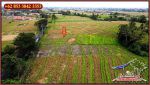 thumbnail-1000-m2-kotak-simetris-dijual-murah-area-komersil-canggu-bali-11