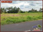 thumbnail-1000-m2-kotak-simetris-dijual-murah-area-komersil-canggu-bali-14