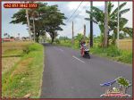 thumbnail-1000-m2-kotak-simetris-dijual-murah-area-komersil-canggu-bali-0