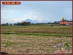 thumbnail-1000-m2-kotak-simetris-dijual-murah-area-komersil-canggu-bali-12