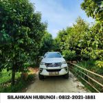 thumbnail-jual-kebun-durian-100-hektar-di-bogor-6