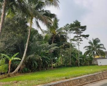 Dijual tanah kosong 1050 m Karanggintung Utara Purwokerto