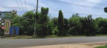 Tanah industri Nol Jalan Raya Deandles Paciran
