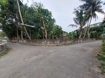 Tanah pekarangan cantik Cebongan