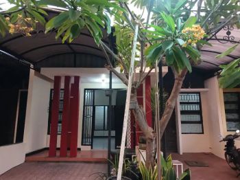 Rent Rumah: Rumah disewakan