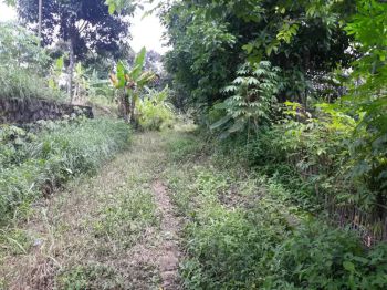 Dijual BU Tanah di bogor (nego)