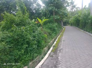 Tanah Dijual dekat Candi Borobudur