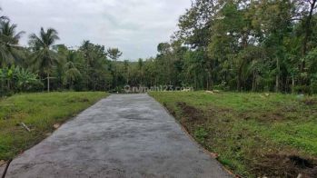 Tanah Murah 500 Ribu meter Ingkungan Asri Cocok Bangun Villa