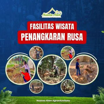 TANAH KEBUN DI JUAL DI BOGOR TIMUR