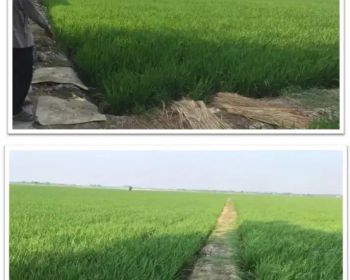 Dijual CEPAT tanah strategis harga miring