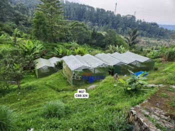 Tanah Lokasi di Megamendung Dengan Surat Yang Lengkap
