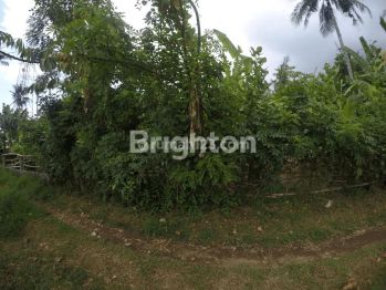 Tanah sangat cocok Rumah atau Villa daerah Lovina