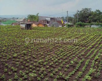 Sell Tanah Kavling: Kavling siap bangun