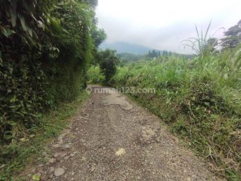 Jual Tanah Ciapus View Gunung