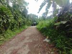 thumbnail-jual-tanah-ciapus-view-gunung-3