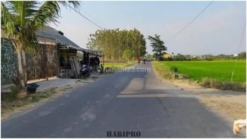 Lahan Murah View Sawah, Jl Godean Km 9, Legalitas SHM