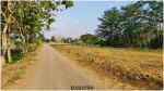 thumbnail-lahan-murah-view-sawah-jl-godean-km-9-legalitas-shm-1