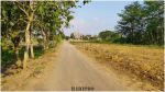 thumbnail-lahan-murah-view-sawah-jl-godean-km-9-legalitas-shm-2