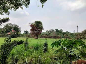 Tanah Strategis Depan Sekolah Candle Tree Jelupang Serpong Bsd