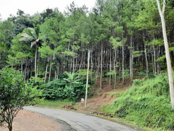 Tanah 14 ha SHM di jalan utama menuju pantai, cocok untuk tempat wisata, hotel,