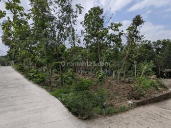 Tanah Murah Jogja Dekat Kampus Umy Dan Exit Tol Gamping Sleman