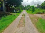 thumbnail-for-sale-flat-land-with-good-view-to-the-sea-and-good-acces-road-5