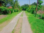 thumbnail-for-sale-flat-land-with-good-view-to-the-sea-and-good-acces-road-2