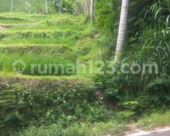 TANAH PINGGIR JALAN RAYA VIEW SUPER KEREN COCOK VILLA RENTAL