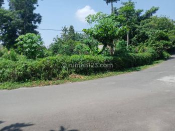 Tanah Sleman Lokasi Tepi Jalan, Harga 2 Juta an