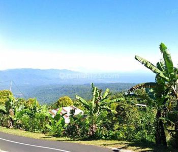 Dijual tanah 1,11ha full view laut @desa gobleg, singaraja, Bali