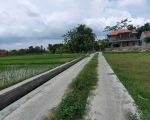 thumbnail-tanah-sawah-murah-di-sewon-bantul-yogyakarta-ts-012-4