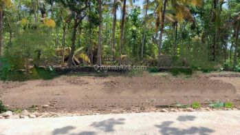 Jual Tanah Murah 95jt All In Area Bambanglipuro Bantul Luas 127