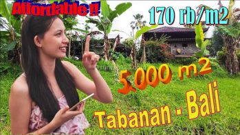 Dijual Nett Tanah Seluas 5,000 M2 Dominan Datar