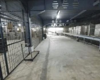 Gudang 2 Lantai Kamal Muara Luas Total 4644 M Rapi Bebas Banjir