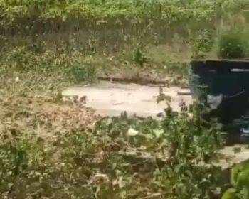 DIJUAL TANAH TAMMU - TAMMU MONCONGLOE MAROS