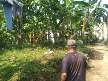 Sell Tanah: Dijual tanah murah