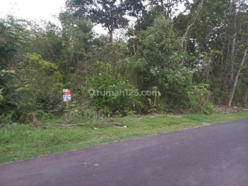 Tanah murah dekat kantor kelurahan di Tegalgiri nogosari