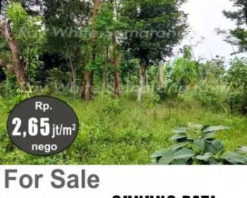 DIJUAL TANAH DI GUNUNG PATI K8123