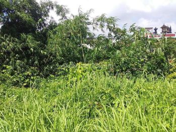 Hot List Di Jual Tanah Lokasi Ketewel Sukawati Gianyar