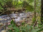 thumbnail-kebun-durian-dan-manggis-los-sungai-indah-di-bali-8